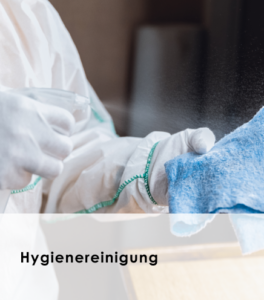 Hygienereinigung